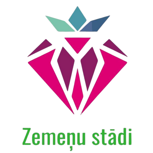 Zemeņu stādi